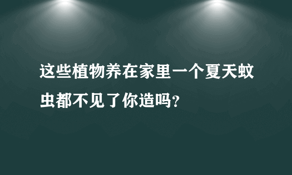 这些植物养在家里一个夏天蚊虫都不见了你造吗？