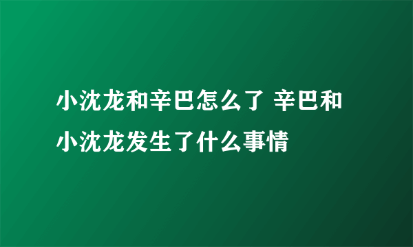 小沈龙和辛巴怎么了 辛巴和小沈龙发生了什么事情