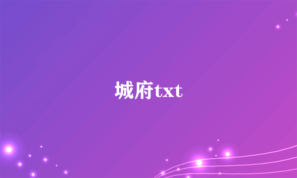 城府txt