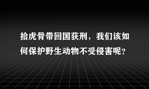 拾虎骨带回国获刑，我们该如何保护野生动物不受侵害呢？