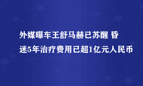 外媒曝车王舒马赫已苏醒 昏迷5年治疗费用已超1亿元人民币