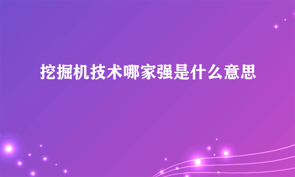 挖掘机技术哪家强是什么意思