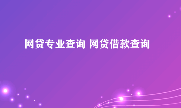 网贷专业查询 网贷借款查询