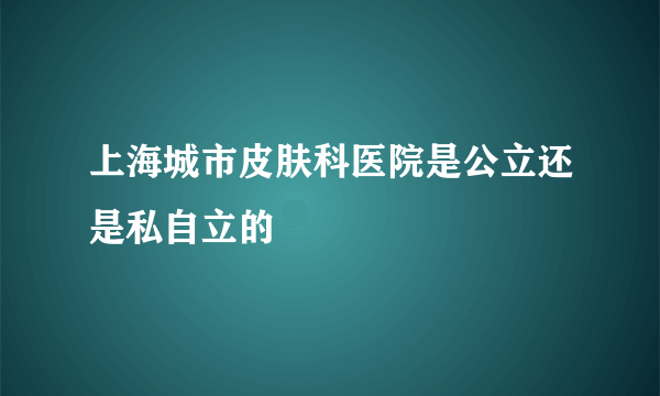 上海城市皮肤科医院是公立还是私自立的