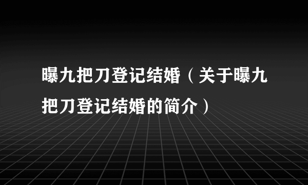 曝九把刀登记结婚（关于曝九把刀登记结婚的简介）