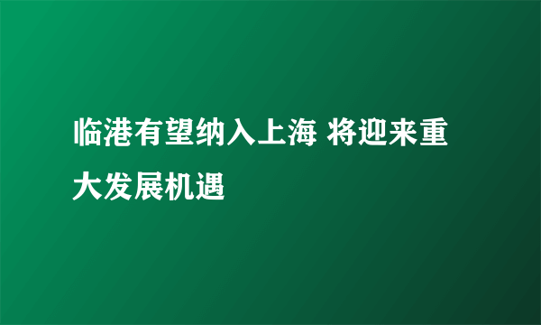 临港有望纳入上海 将迎来重大发展机遇