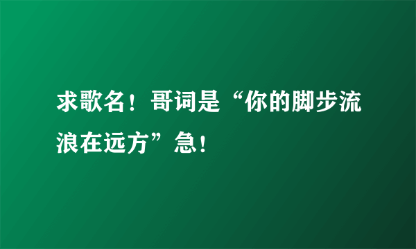 求歌名！哥词是“你的脚步流浪在远方”急！