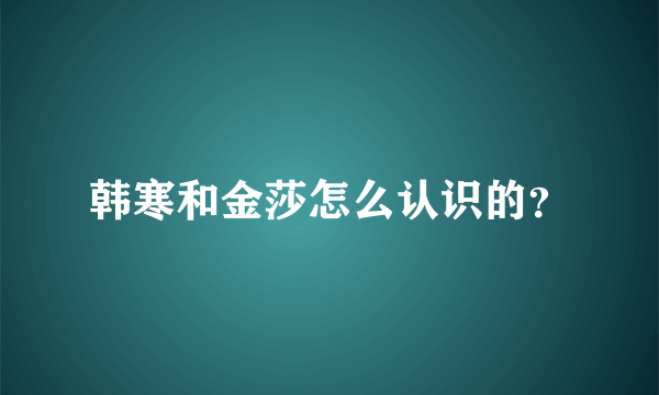 韩寒和金莎怎么认识的？