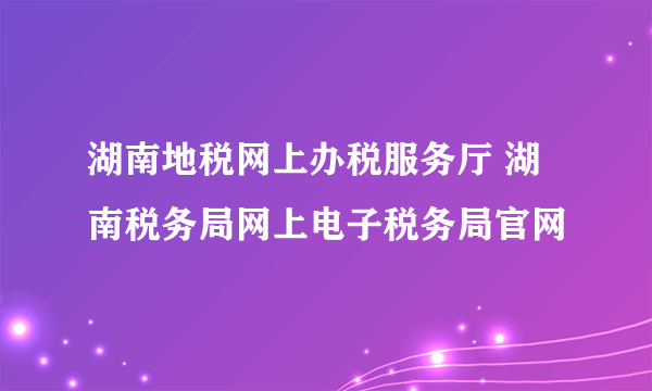 湖南地税网上办税服务厅 湖南税务局网上电子税务局官网