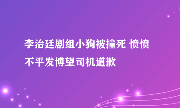 李治廷剧组小狗被撞死 愤愤不平发博望司机道歉