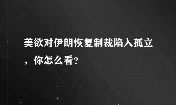 美欲对伊朗恢复制裁陷入孤立，你怎么看？