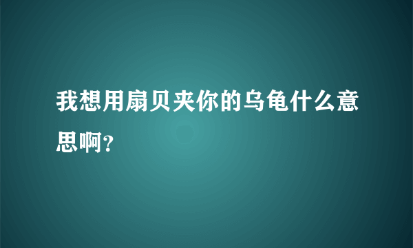 我想用扇贝夹你的乌龟什么意思啊？