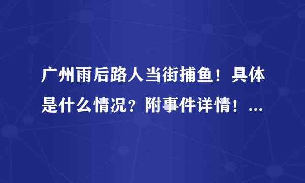 广州雨后路人当街捕鱼！具体是什么情况？附事件详情！ - 飞外网