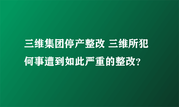 三维集团停产整改 三维所犯何事遭到如此严重的整改？