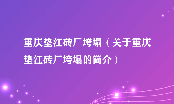 重庆垫江砖厂垮塌（关于重庆垫江砖厂垮塌的简介）