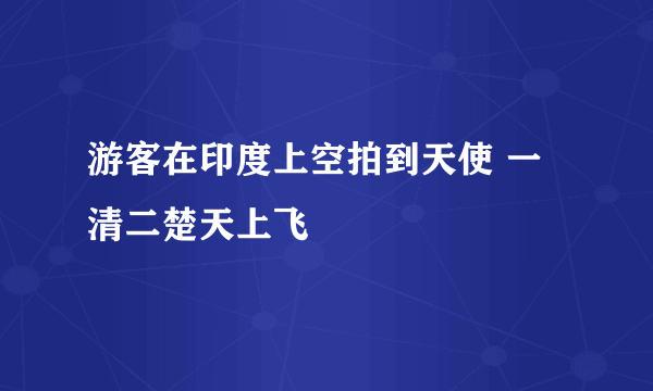 游客在印度上空拍到天使 一清二楚天上飞