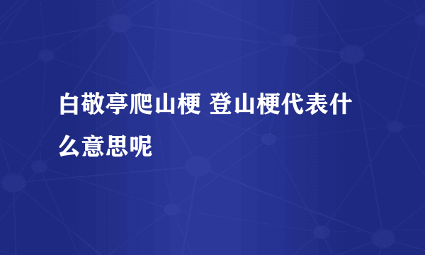 白敬亭爬山梗 登山梗代表什么意思呢