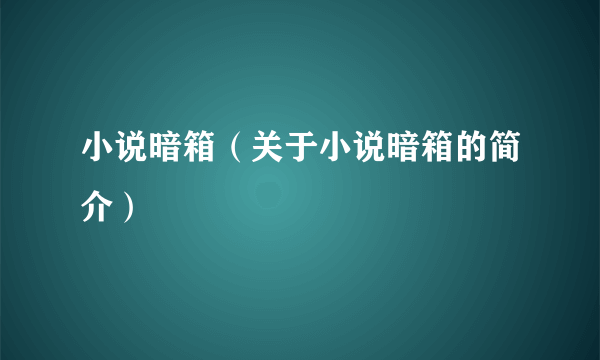 小说暗箱（关于小说暗箱的简介）