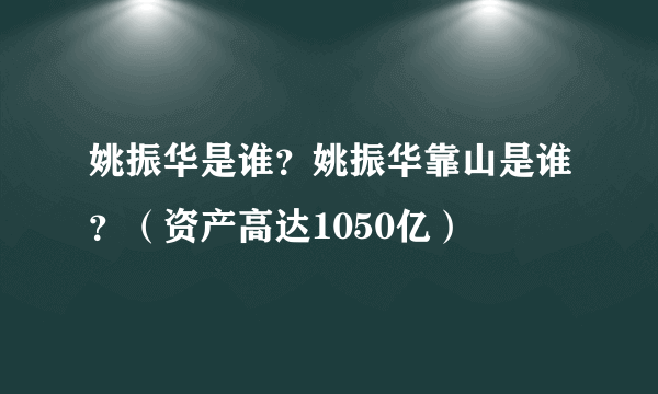 姚振华是谁？姚振华靠山是谁？（资产高达1050亿）