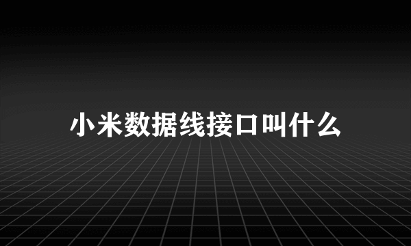 小米数据线接口叫什么