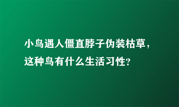 小鸟遇人僵直脖子伪装枯草，这种鸟有什么生活习性？