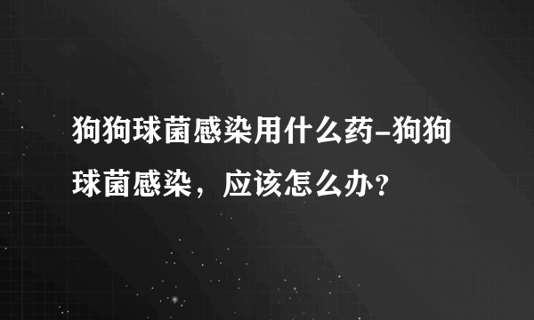 狗狗球菌感染用什么药-狗狗球菌感染，应该怎么办？