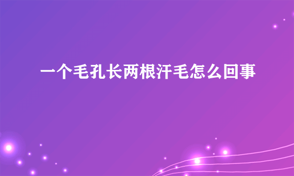 一个毛孔长两根汗毛怎么回事