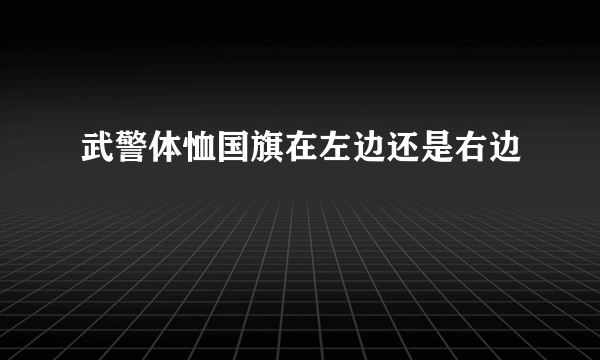 武警体恤国旗在左边还是右边