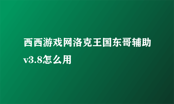 西西游戏网洛克王国东哥辅助v3.8怎么用