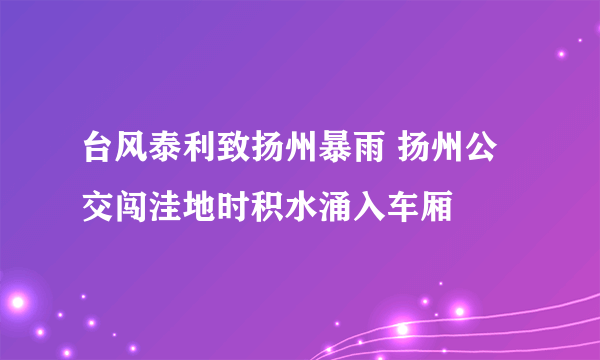 台风泰利致扬州暴雨 扬州公交闯洼地时积水涌入车厢