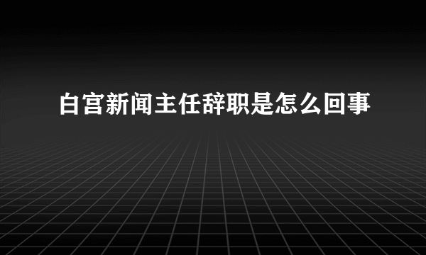 白宫新闻主任辞职是怎么回事