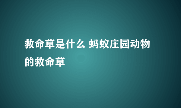 救命草是什么 蚂蚁庄园动物的救命草