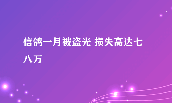 信鸽一月被盗光 损失高达七八万