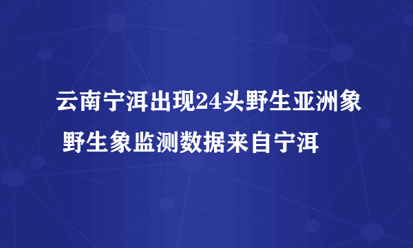 云南宁洱出现24头野生亚洲象 野生象监测数据来自宁洱