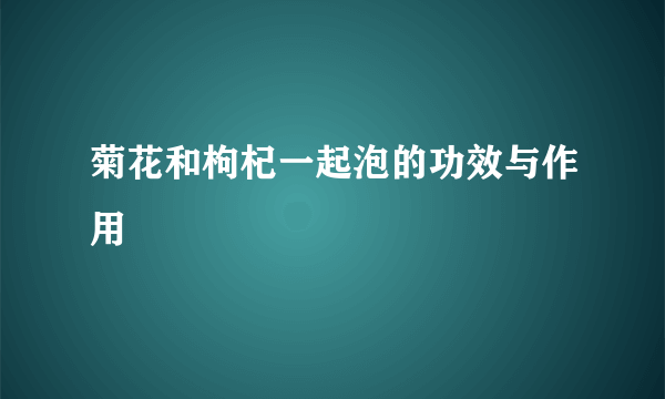 菊花和枸杞一起泡的功效与作用