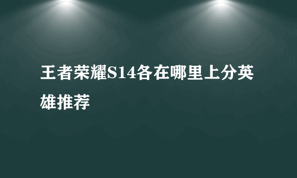 王者荣耀S14各在哪里上分英雄推荐