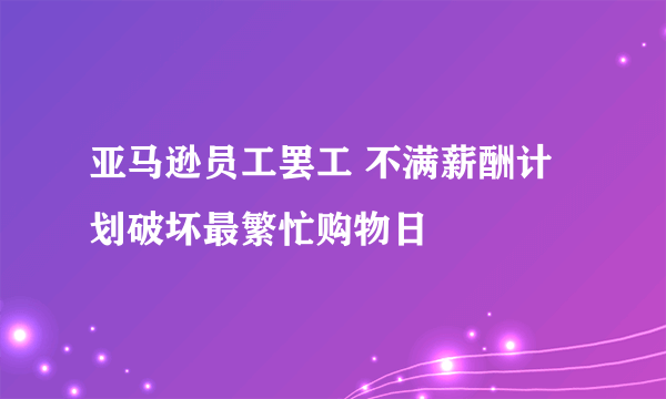 亚马逊员工罢工 不满薪酬计划破坏最繁忙购物日