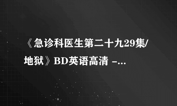 《急诊科医生第二十九29集/地狱》BD英语高清 - 迅雷/BT/百度云/字幕下载