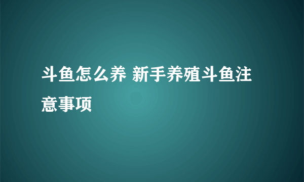 斗鱼怎么养 新手养殖斗鱼注意事项