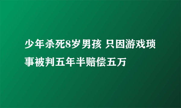 少年杀死8岁男孩 只因游戏琐事被判五年半赔偿五万