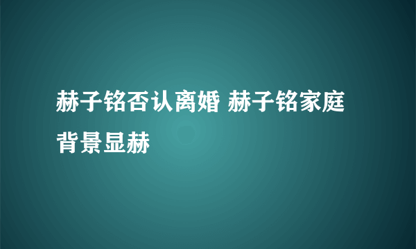 赫子铭否认离婚 赫子铭家庭背景显赫