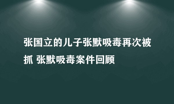 张国立的儿子张默吸毒再次被抓 张默吸毒案件回顾