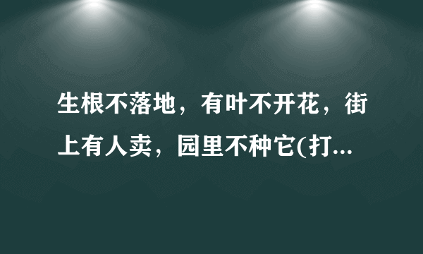 生根不落地，有叶不开花，街上有人卖，园里不种它(打一植物)