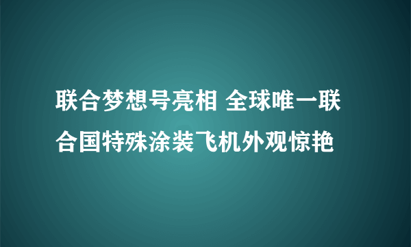 联合梦想号亮相 全球唯一联合国特殊涂装飞机外观惊艳