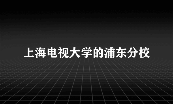 上海电视大学的浦东分校