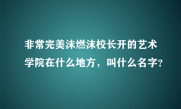 非常完美沫燃沫校长开的艺术学院在什么地方，叫什么名字？