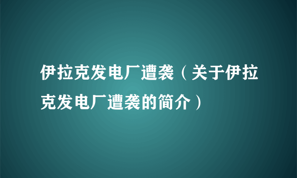 伊拉克发电厂遭袭（关于伊拉克发电厂遭袭的简介）