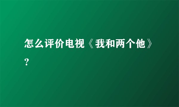 怎么评价电视《我和两个他》？