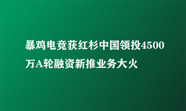 暴鸡电竞获红杉中国领投4500万A轮融资新推业务大火