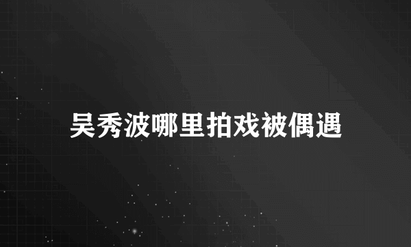 吴秀波哪里拍戏被偶遇